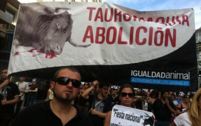 No Konforme en la manifestación contra el Toro de la Vega